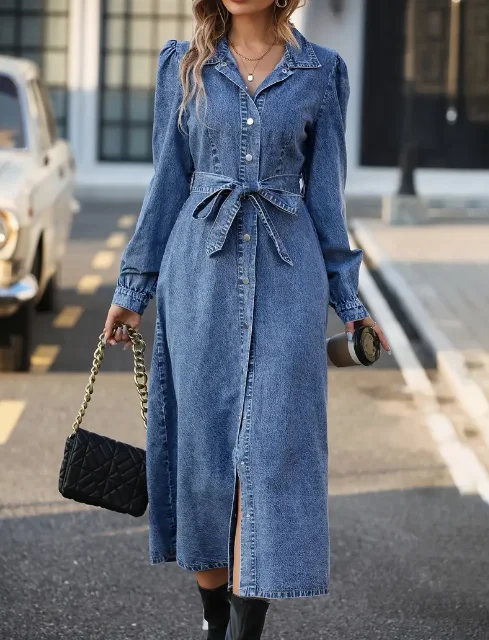 Denise Denim Dress